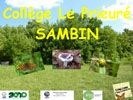 02 sambin