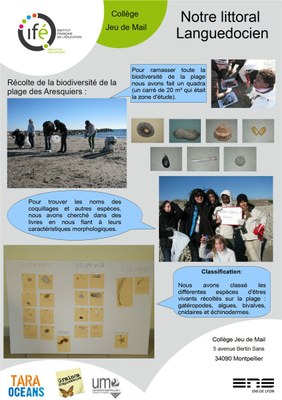 02 Montpellier Poster 02 Montpellier Poster