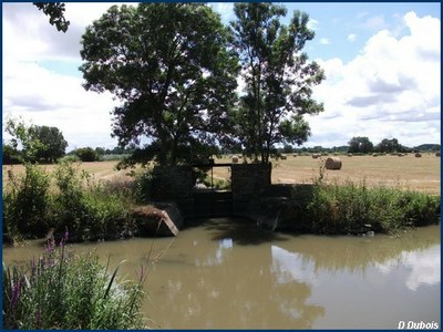 Marais Audubon Juillet