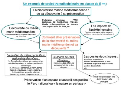 Organigramme projet