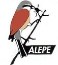 Logo Alepe