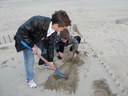 Revégétalisation de la dune du Lido