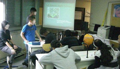 Les lycéens expliquent... les collègiens travaillent...