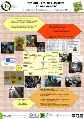 06_Savenay_poster_2013.jpg 06_Savenay_poster_2013.jpg