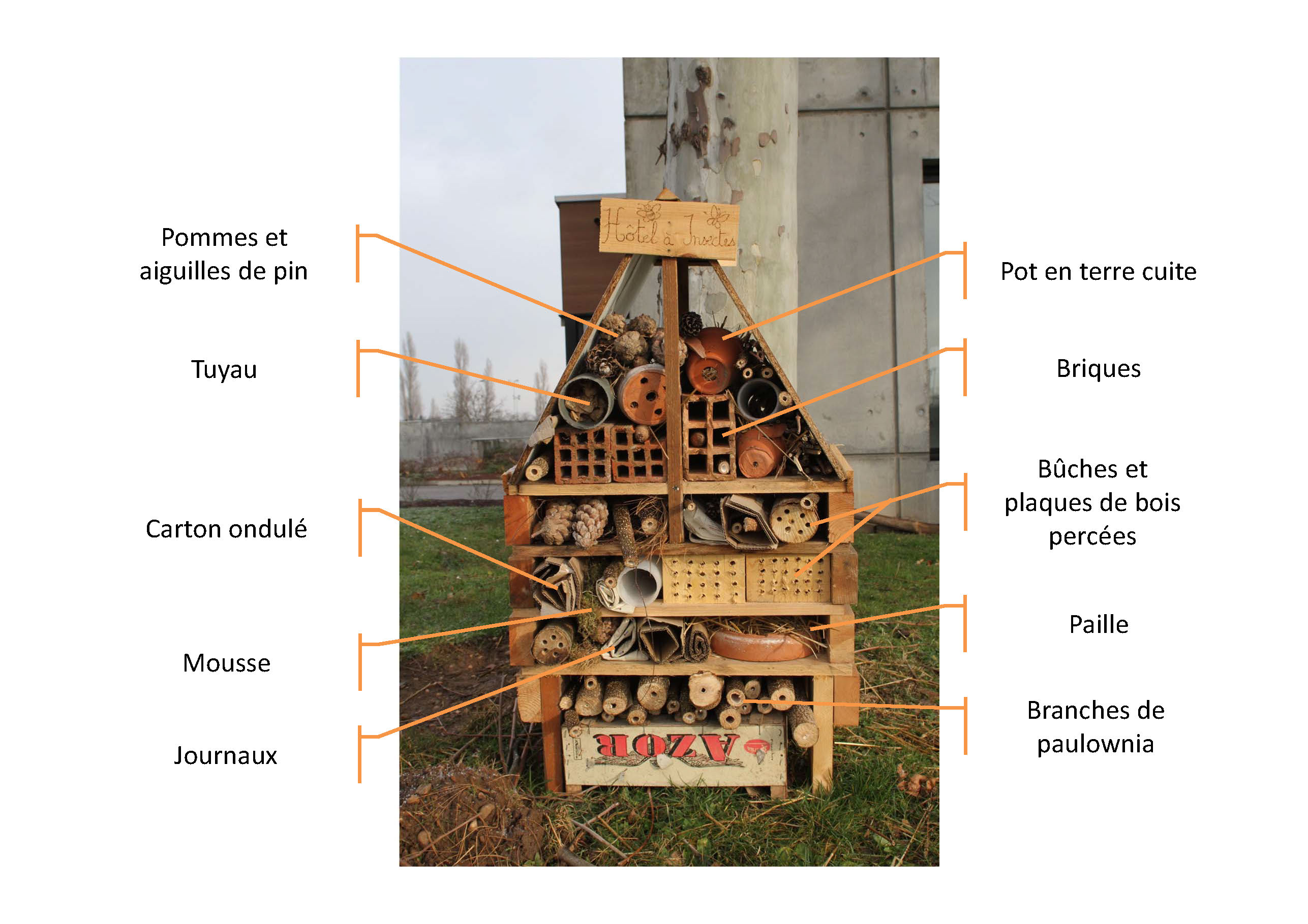 L'hôtel à insectes - La terre est un jardin