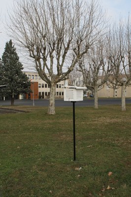 IMG 0345w