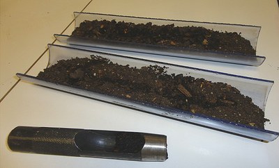 Prélèvement d'un échantillon de tourbe de 2 cm3 environ à l'aide d'un emporte-pièce