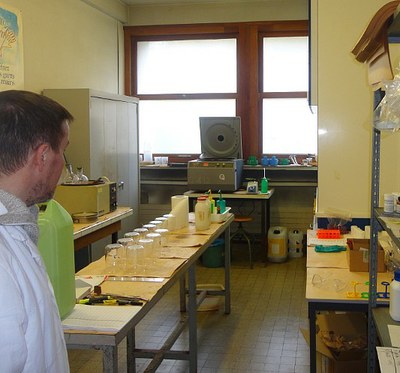 Salle de préparation laboratoire POLEN Salle de préparation laboratoire POLEN