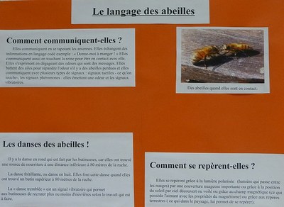 panneau langage des abeilles