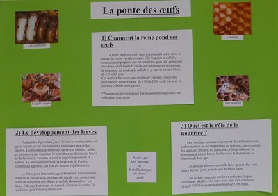 panneau ponte des oeufs panneau ponte des oeufs