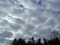 Le Stratocumulus