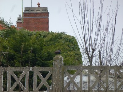 P1040197