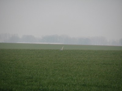 IMG 7509