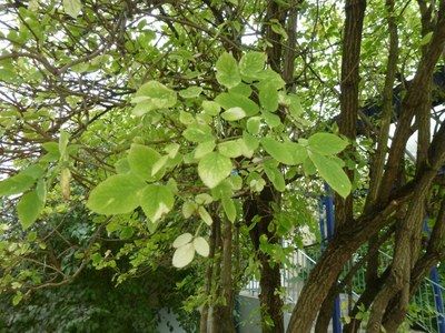 P1030502