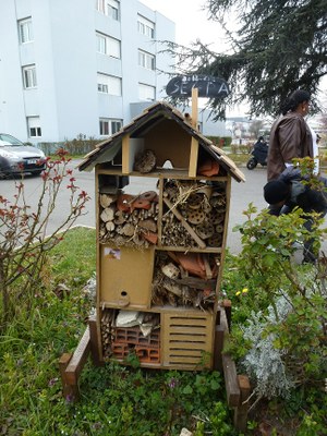 L'hôtel à insectes