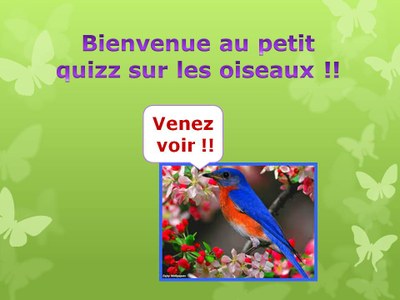 QuizzOiseaux1