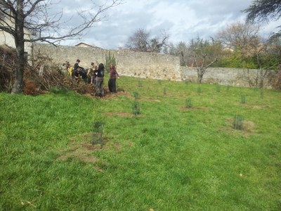 Plantation finie Plantation finie