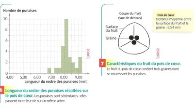 punaisepoissanteur