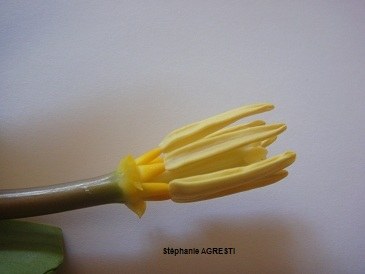 tulipeetamine