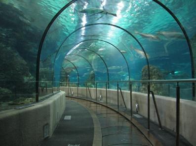 aquariumaesposito