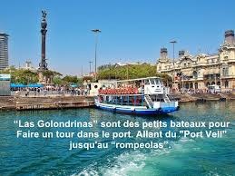 golondrinaschaneguiera golondrinaschaneguiera