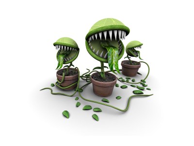 plantes carnivores 3d wallpaper