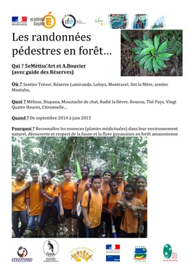 Les randonnées pédestres en forêt…