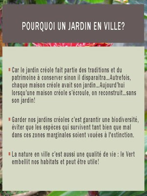 Présentation orale 50315 2 Page 4 Présentation orale 50315 2 Page 4