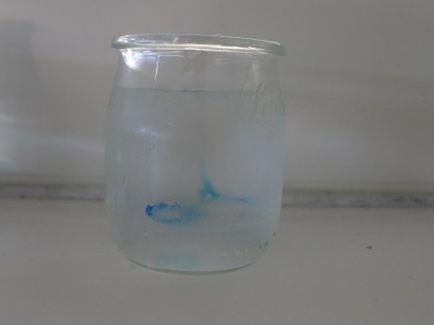 expérience colorant dans l'eau 2