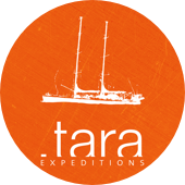 tara logo