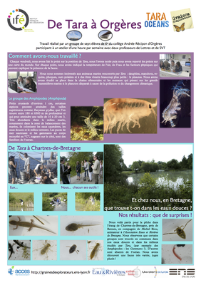 16-orgeres-posterge-tara_2011-2012.png 16-orgeres-posterge-tara_2011-2012.png