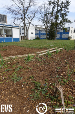 2016.03.29.College 2016.03.29.College