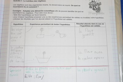 Identifier les besoins nutritifs des végétaux afin les cultiver Identifier les besoins nutritifs des végétaux afin les cultiver