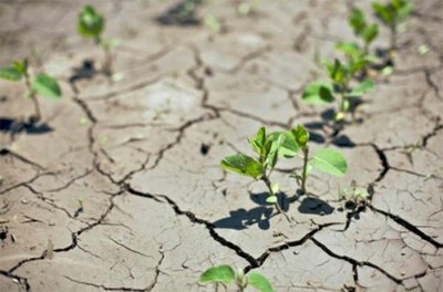 agriculture climat maroc