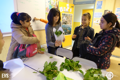 photo_2016.02.04_DistributionEpinardsTousProf photo_2016.02.04_DistributionEpinardsTousProf