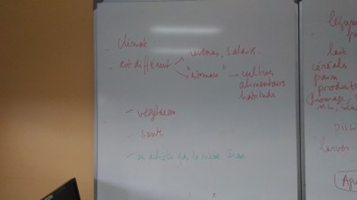 Séance avec Julie le Gall 24 novembre 2017 Séance avec Julie le Gall 24 novembre 2017
