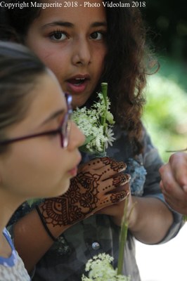 atelier des collégiens avec CIE