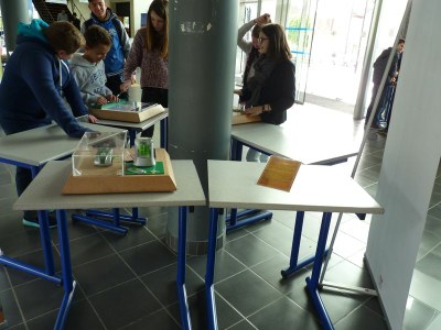 RJC EXPO 11