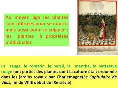 Semaine du goût : Herbes aromatiques et légumes médiévaux (2)