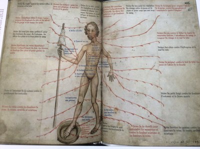 Encyclopédie médicale Encyclopédie médicale