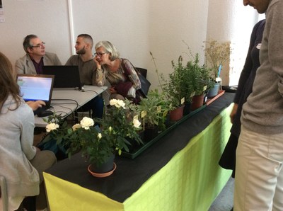 Fête de la Science 2015-Stand HORTUS